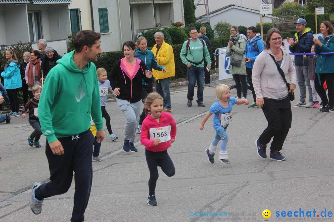 12. Bremgartenlauf - Lauf und Walking Event: Bremgarten - Bern, 20.10.2019