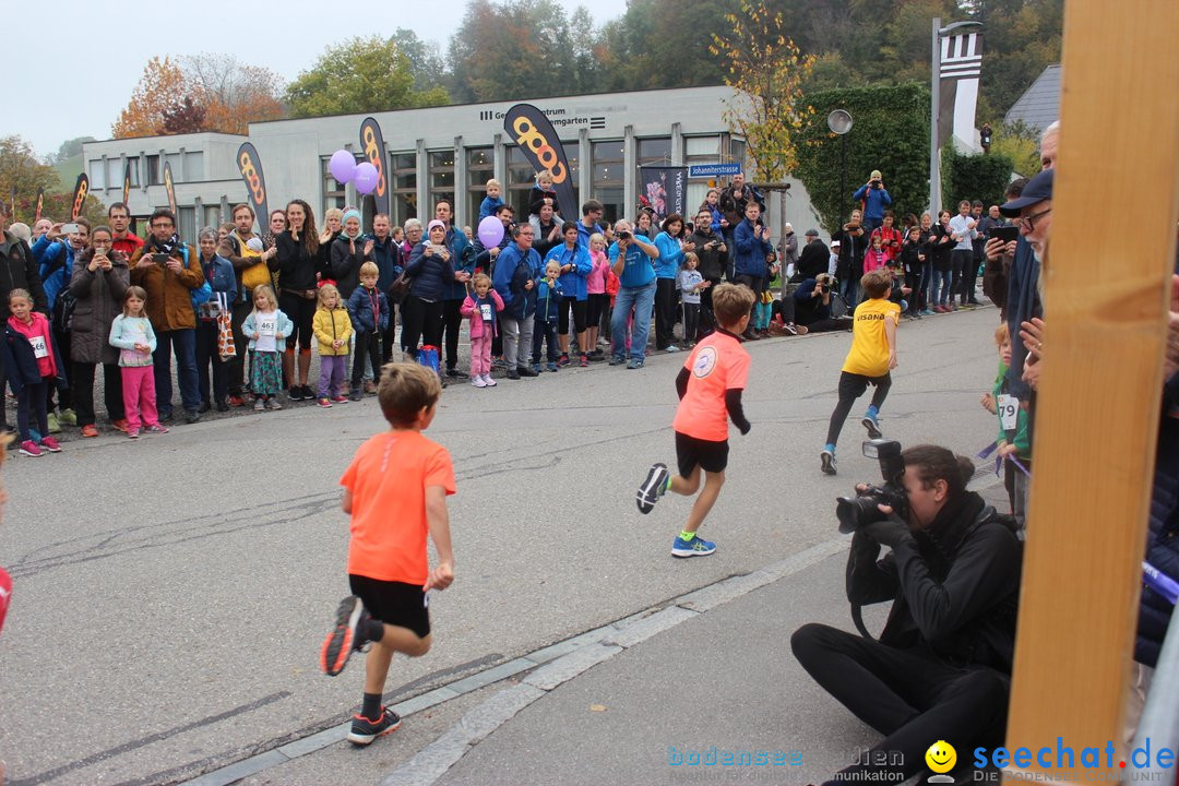 12. Bremgartenlauf - Lauf und Walking Event: Bremgarten - Bern, 20.10.2019