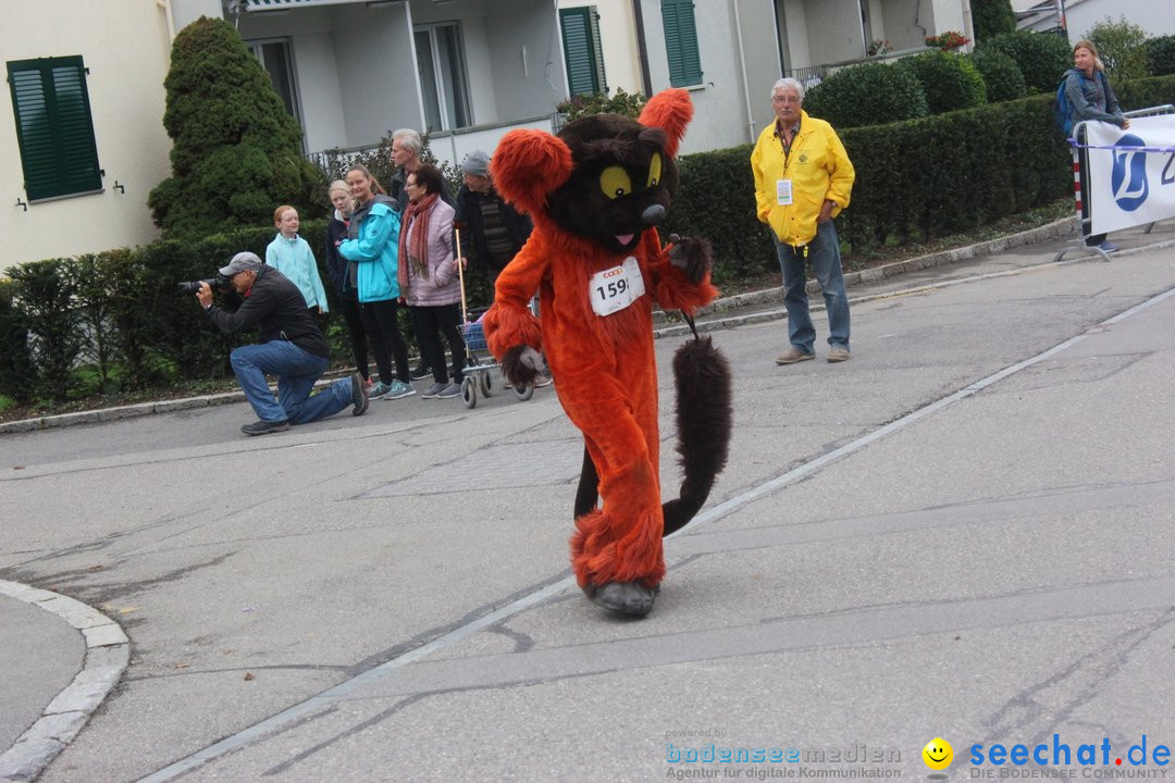 12. Bremgartenlauf - Lauf und Walking Event: Bremgarten - Bern, 20.10.2019