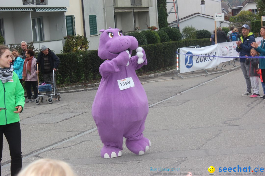 12. Bremgartenlauf - Lauf und Walking Event: Bremgarten - Bern, 20.10.2019