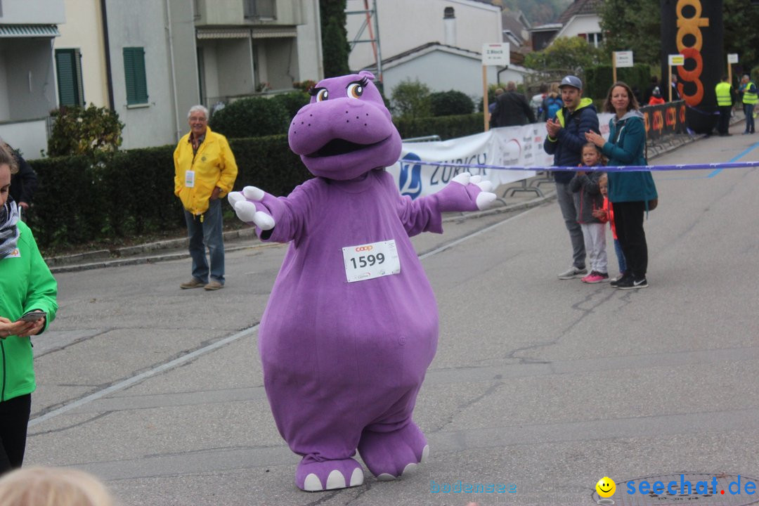 12. Bremgartenlauf - Lauf und Walking Event: Bremgarten - Bern, 20.10.2019