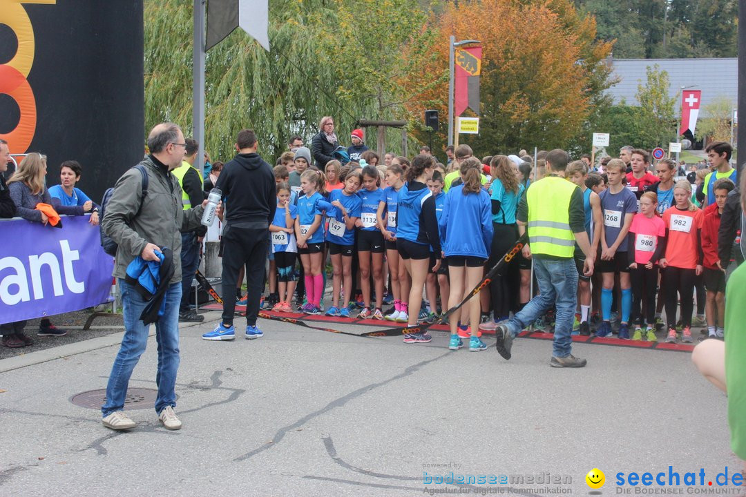 12. Bremgartenlauf - Lauf und Walking Event: Bremgarten - Bern, 20.10.2019