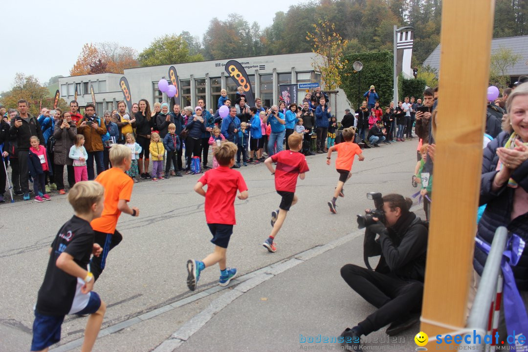 12. Bremgartenlauf - Lauf und Walking Event: Bremgarten - Bern, 20.10.2019