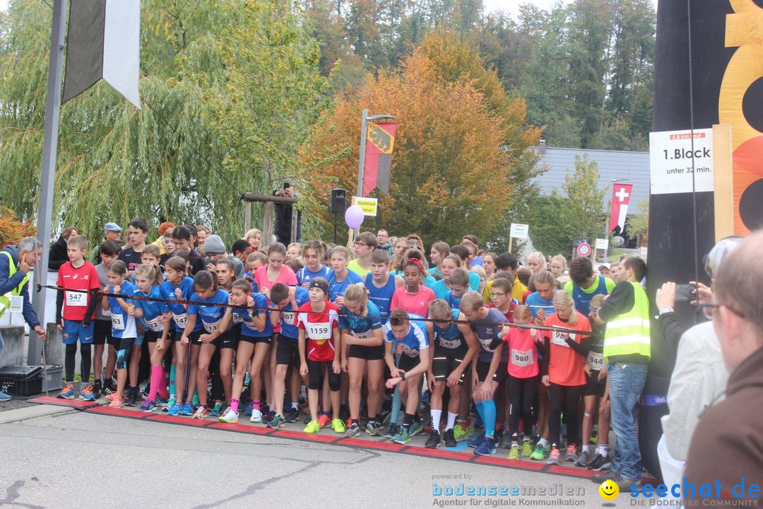 12. Bremgartenlauf - Lauf und Walking Event: Bremgarten - Bern, 20.10.2019