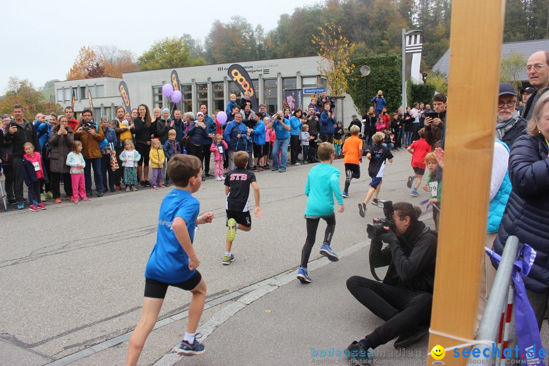 12. Bremgartenlauf - Lauf und Walking Event: Bremgarten - Bern, 20.10.2019