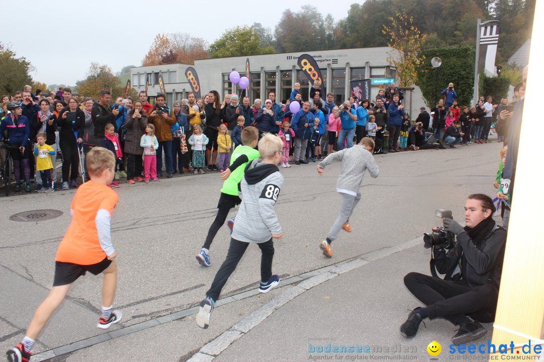 12. Bremgartenlauf - Lauf und Walking Event: Bremgarten - Bern, 20.10.2019