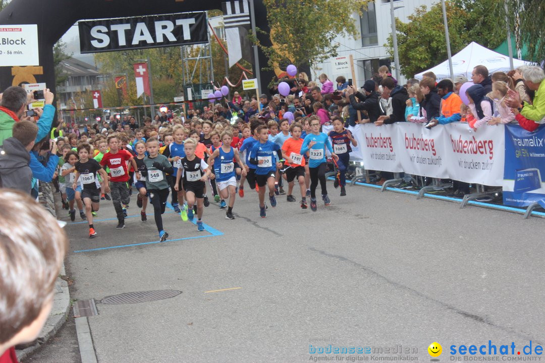 12. Bremgartenlauf - Lauf und Walking Event: Bremgarten - Bern, 20.10.2019