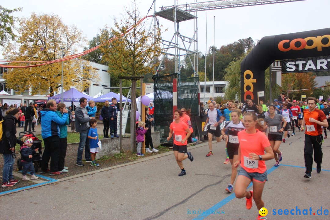 12. Bremgartenlauf - Lauf und Walking Event: Bremgarten - Bern, 20.10.2019