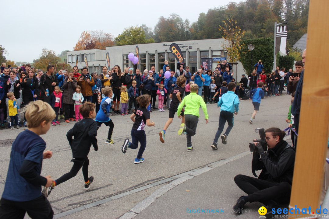 12. Bremgartenlauf - Lauf und Walking Event: Bremgarten - Bern, 20.10.2019