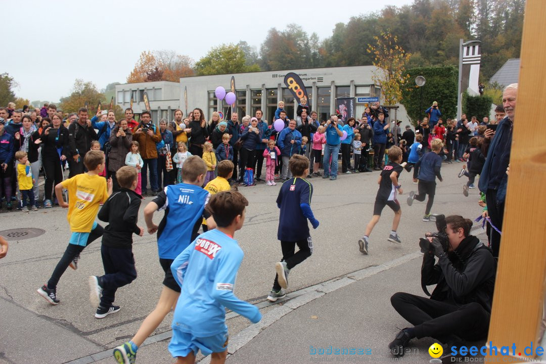 12. Bremgartenlauf - Lauf und Walking Event: Bremgarten - Bern, 20.10.2019