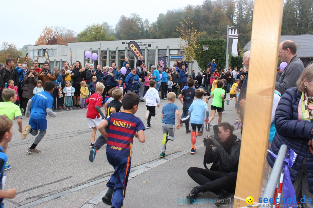 12. Bremgartenlauf - Lauf und Walking Event: Bremgarten - Bern, 20.10.2019