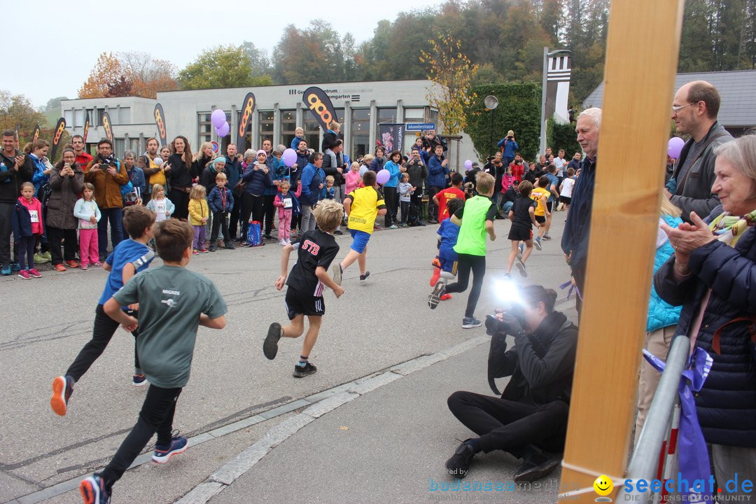 12. Bremgartenlauf - Lauf und Walking Event: Bremgarten - Bern, 20.10.2019