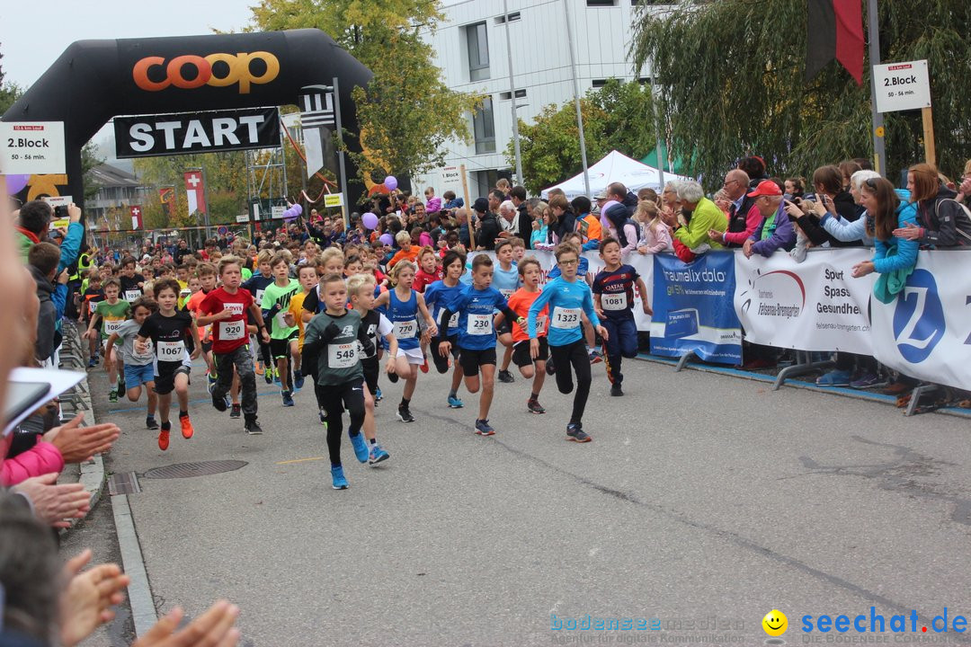 12. Bremgartenlauf - Lauf und Walking Event: Bremgarten - Bern, 20.10.2019