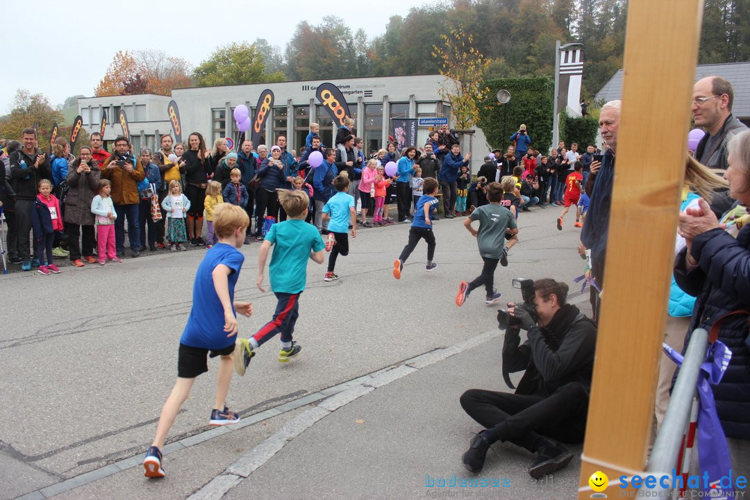 12. Bremgartenlauf - Lauf und Walking Event: Bremgarten - Bern, 20.10.2019