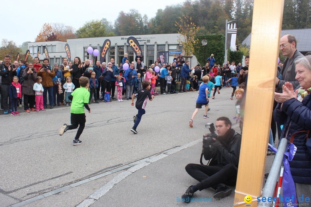 12. Bremgartenlauf - Lauf und Walking Event: Bremgarten - Bern, 20.10.2019