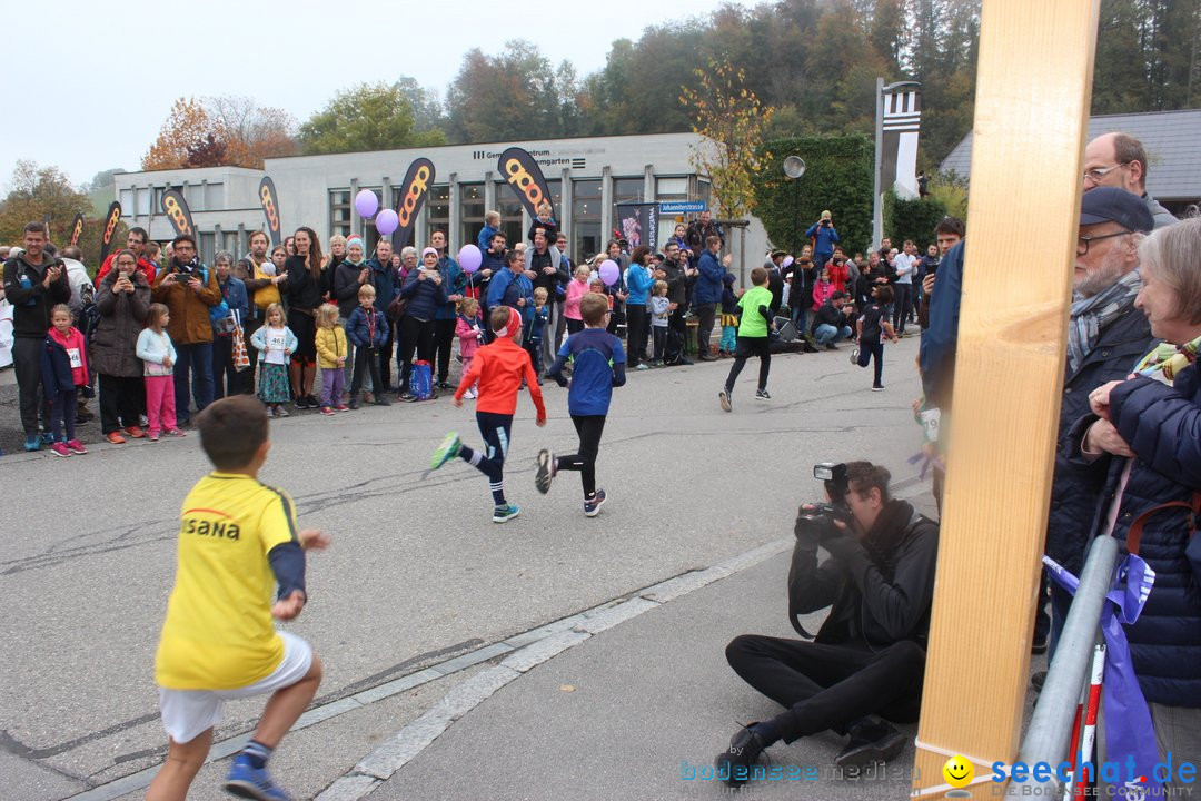 12. Bremgartenlauf - Lauf und Walking Event: Bremgarten - Bern, 20.10.2019