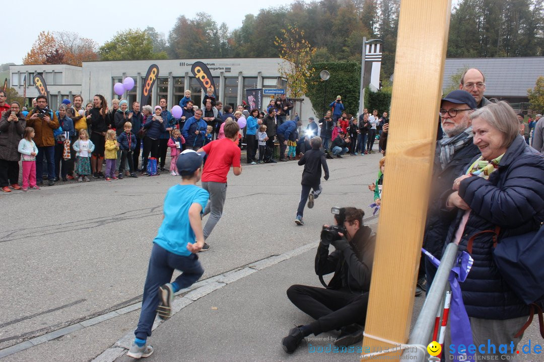 12. Bremgartenlauf - Lauf und Walking Event: Bremgarten - Bern, 20.10.2019