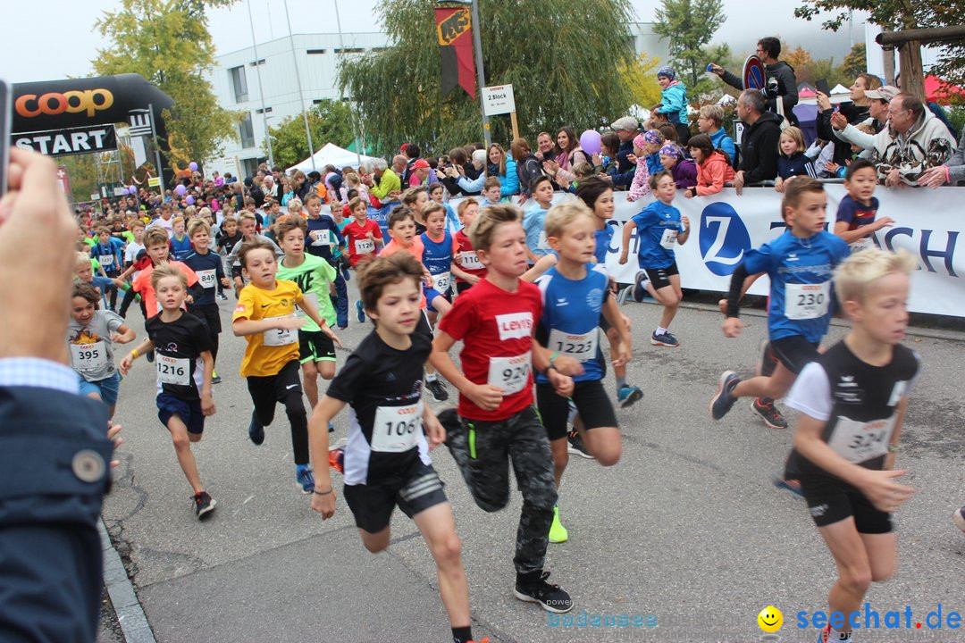 12. Bremgartenlauf - Lauf und Walking Event: Bremgarten - Bern, 20.10.2019