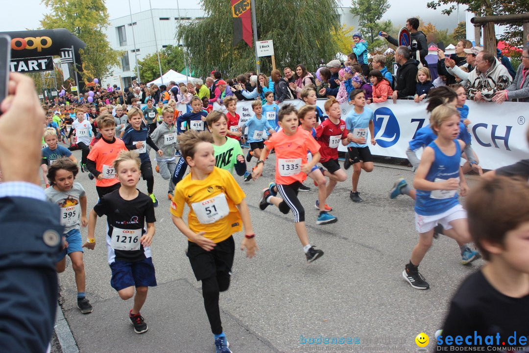 12. Bremgartenlauf - Lauf und Walking Event: Bremgarten - Bern, 20.10.2019