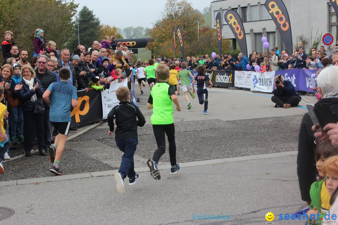 12. Bremgartenlauf - Lauf und Walking Event: Bremgarten - Bern, 20.10.2019