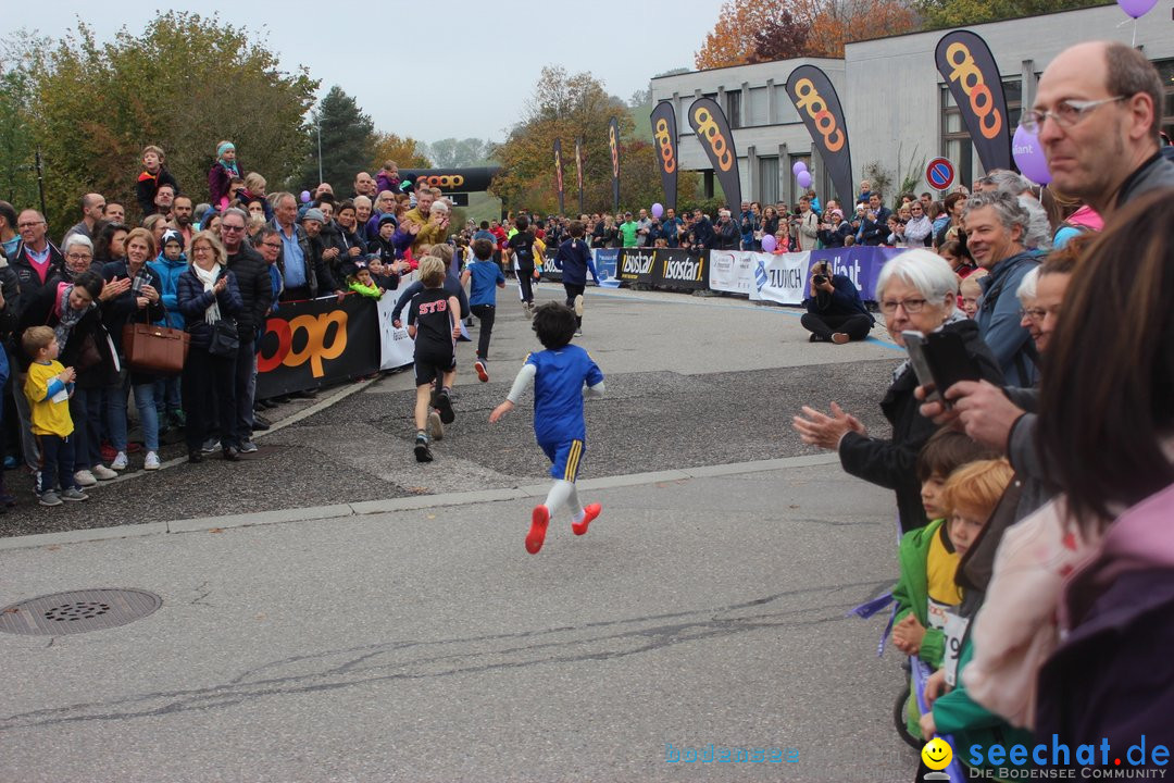 12. Bremgartenlauf - Lauf und Walking Event: Bremgarten - Bern, 20.10.2019