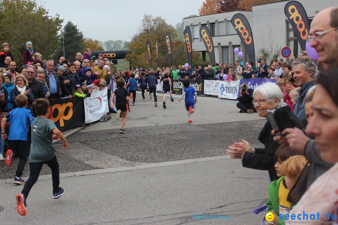 12. Bremgartenlauf - Lauf und Walking Event: Bremgarten - Bern, 20.10.2019