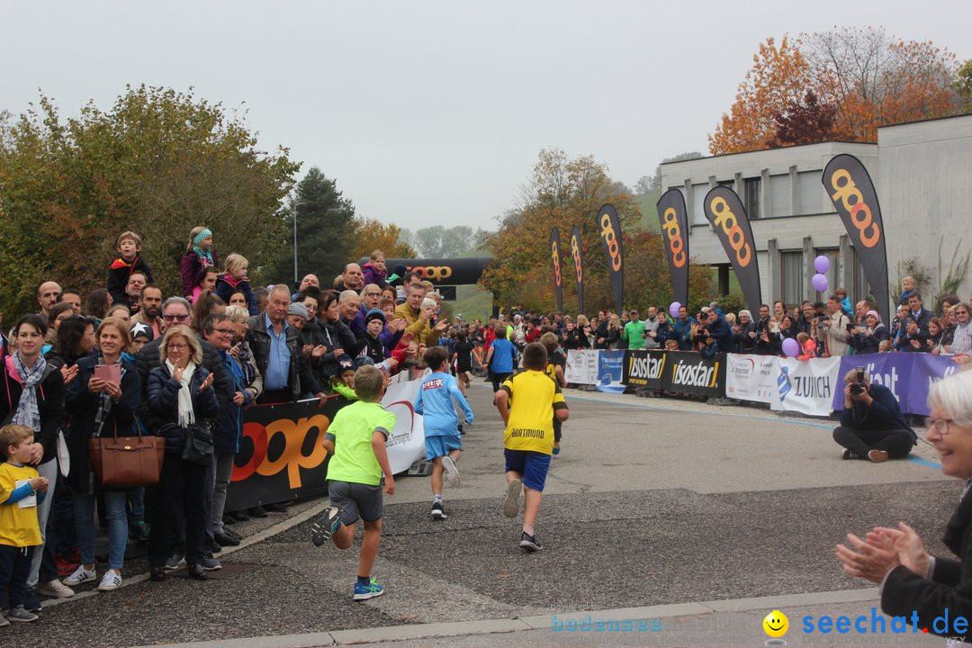 12. Bremgartenlauf - Lauf und Walking Event: Bremgarten - Bern, 20.10.2019