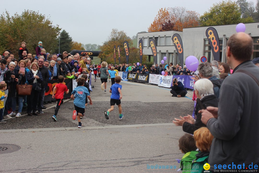 12. Bremgartenlauf - Lauf und Walking Event: Bremgarten - Bern, 20.10.2019