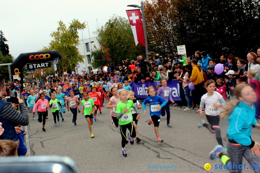 12. Bremgartenlauf - Lauf und Walking Event: Bremgarten - Bern, 20.10.2019