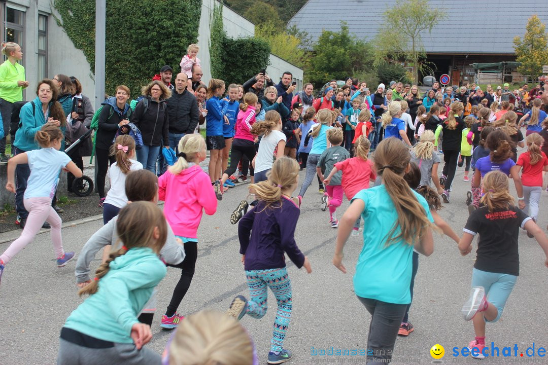 12. Bremgartenlauf - Lauf und Walking Event: Bremgarten - Bern, 20.10.2019