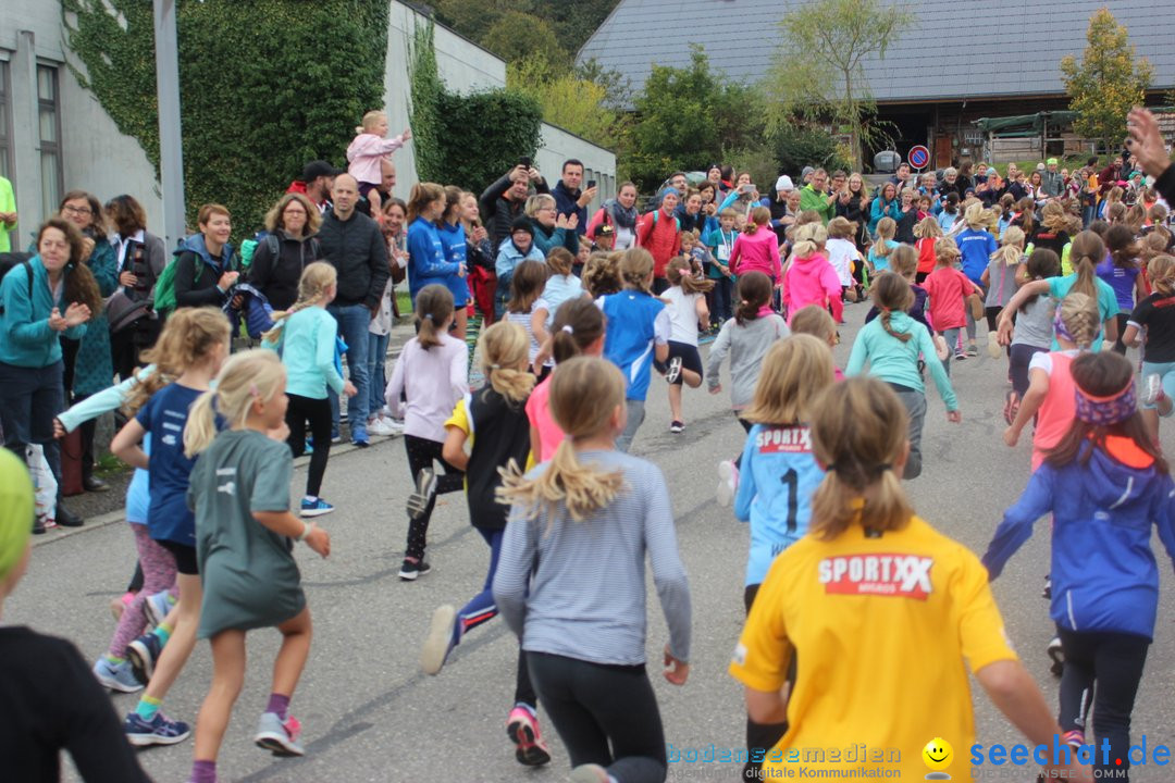 12. Bremgartenlauf - Lauf und Walking Event: Bremgarten - Bern, 20.10.2019