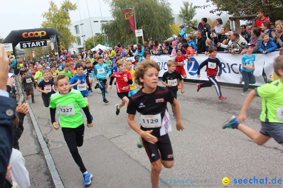 12. Bremgartenlauf - Lauf und Walking Event: Bremgarten - Bern, 20.10.2019