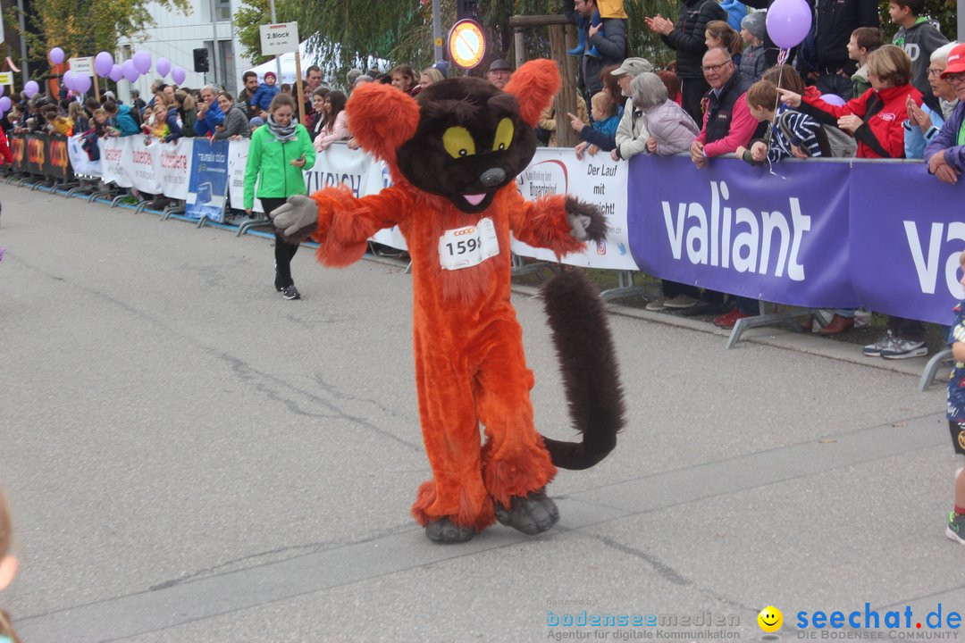 12. Bremgartenlauf - Lauf und Walking Event: Bremgarten - Bern, 20.10.2019