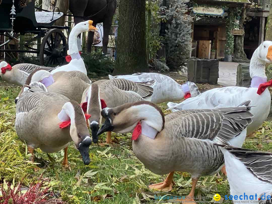 Winterzauber - EUROPAPARK: Rust, 26.11.2019