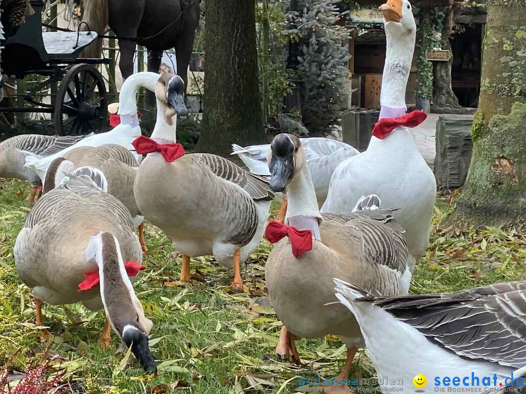 Winterzauber - EUROPAPARK: Rust, 26.11.2019