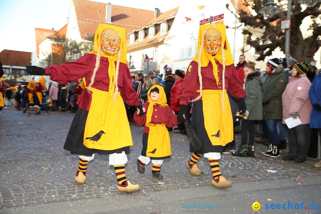 Grosser Narrensprung: Langenargen am Bodensee, 19.01.2020