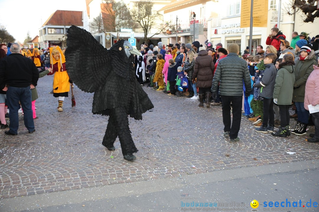 Grosser Narrensprung: Langenargen am Bodensee, 19.01.2020