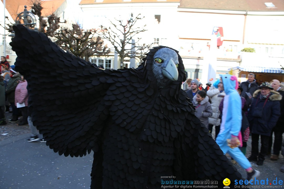 Grosser Narrensprung: Langenargen am Bodensee, 19.01.2020