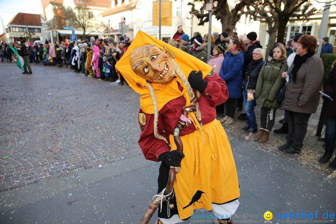 Grosser Narrensprung: Langenargen am Bodensee, 19.01.2020