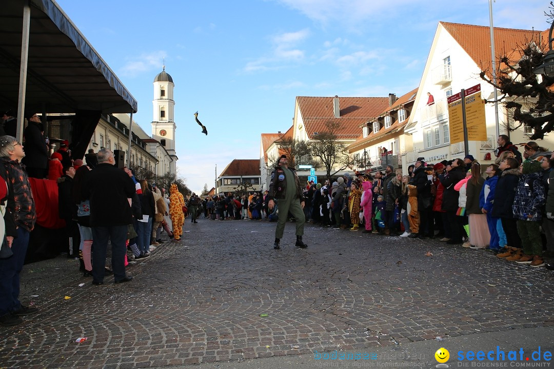 Grosser Narrensprung: Langenargen am Bodensee, 19.01.2020