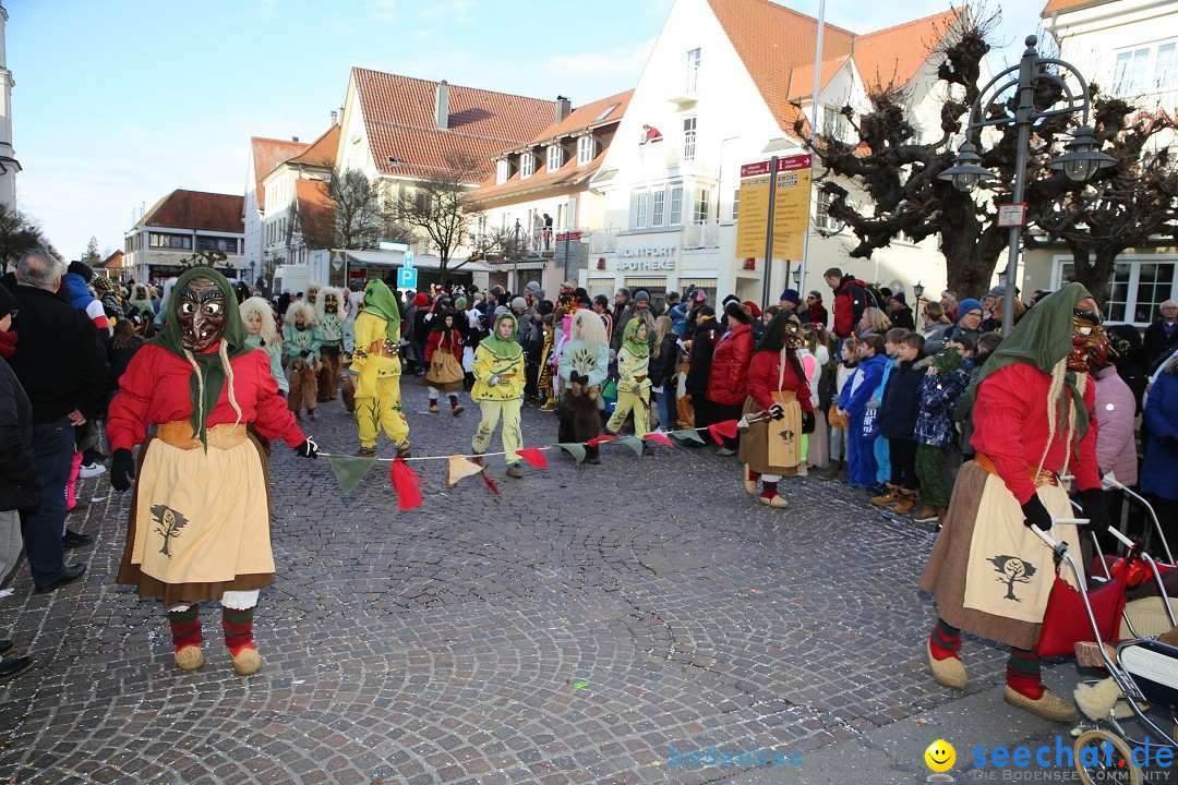 Grosser Narrensprung: Langenargen am Bodensee, 19.01.2020