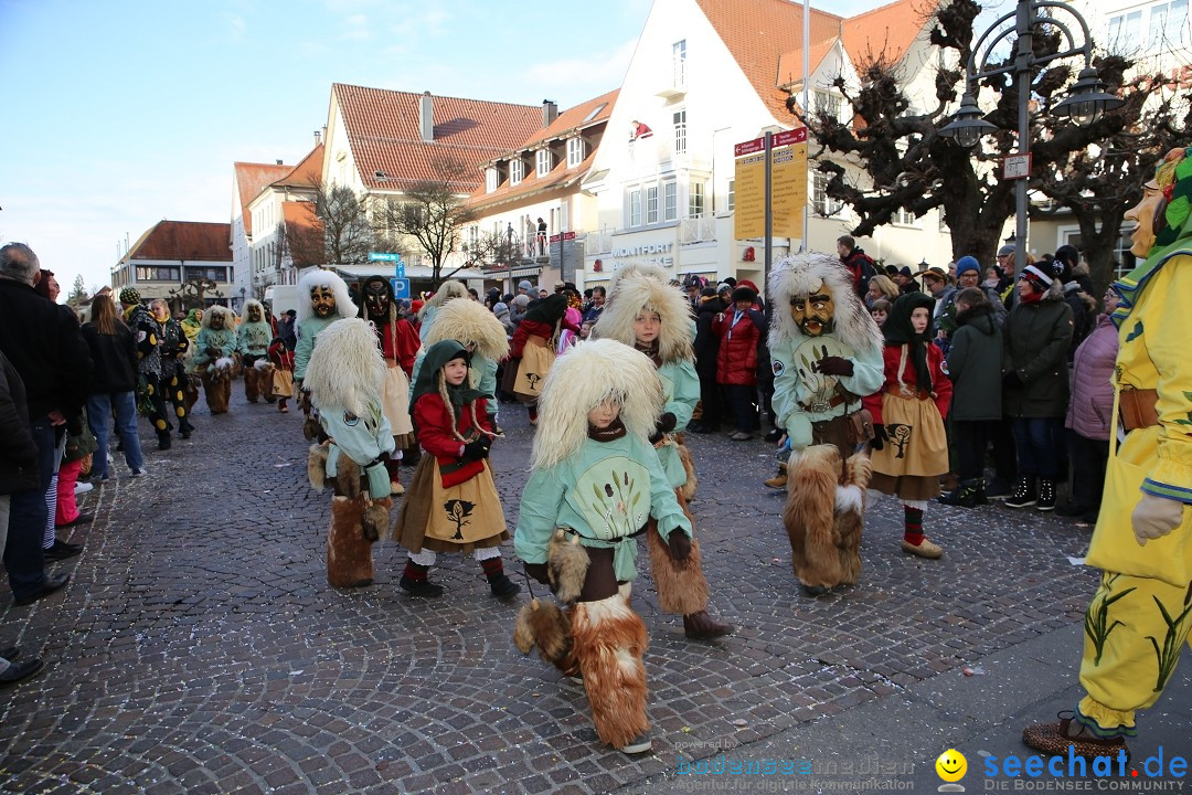 Grosser Narrensprung: Langenargen am Bodensee, 19.01.2020