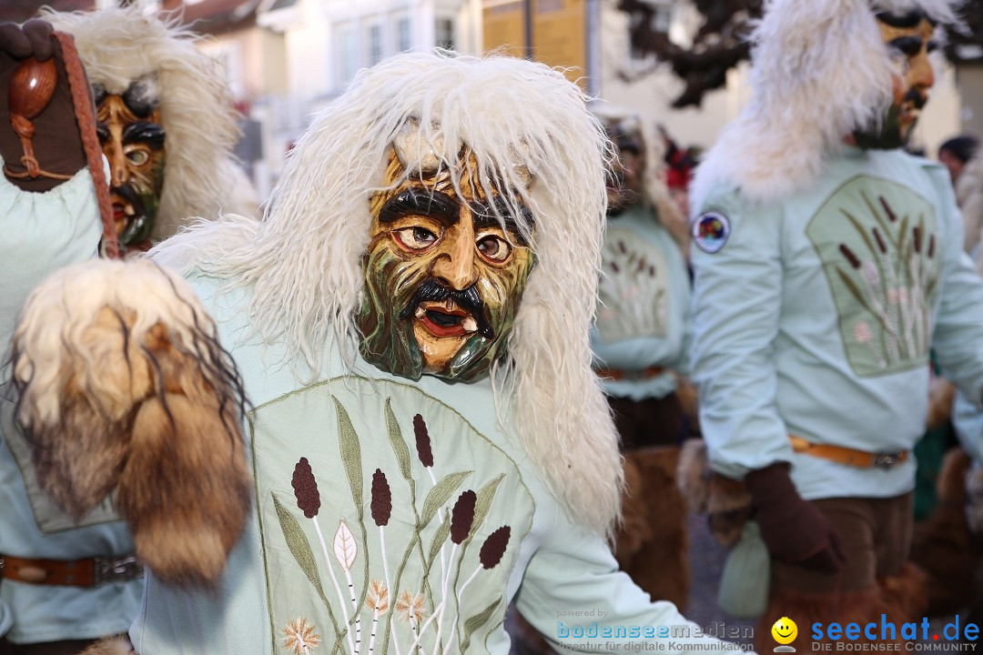 Grosser Narrensprung: Langenargen am Bodensee, 19.01.2020