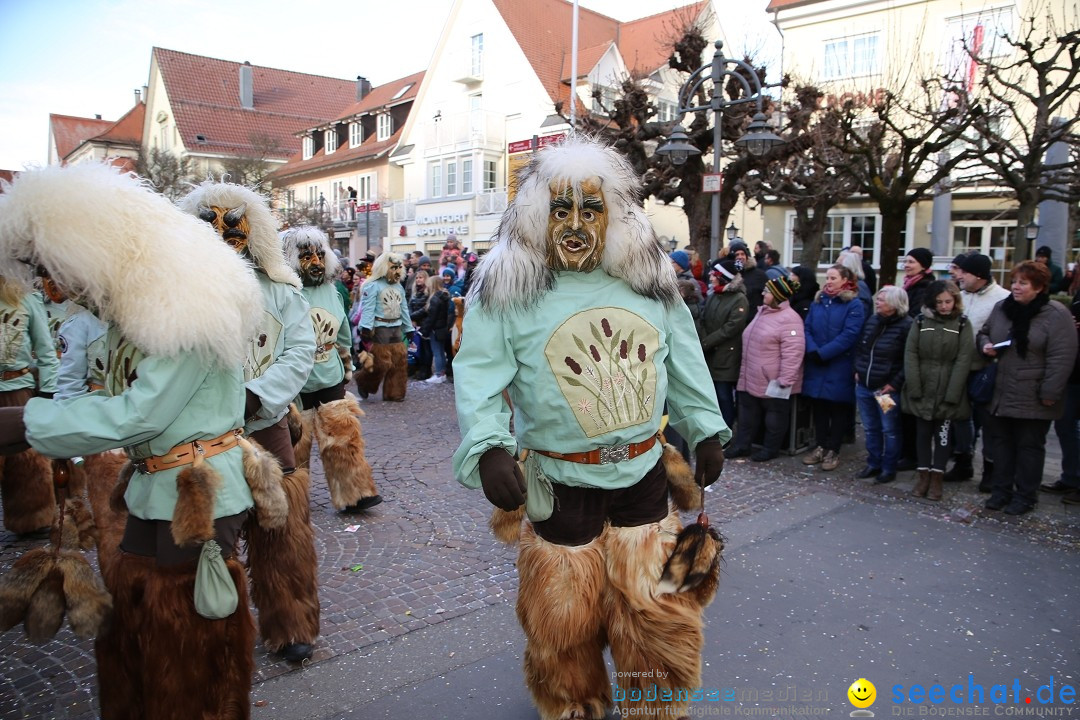 Grosser Narrensprung: Langenargen am Bodensee, 19.01.2020