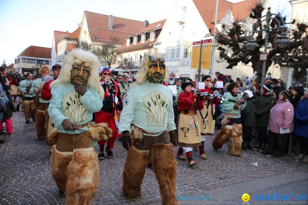 Grosser Narrensprung: Langenargen am Bodensee, 19.01.2020