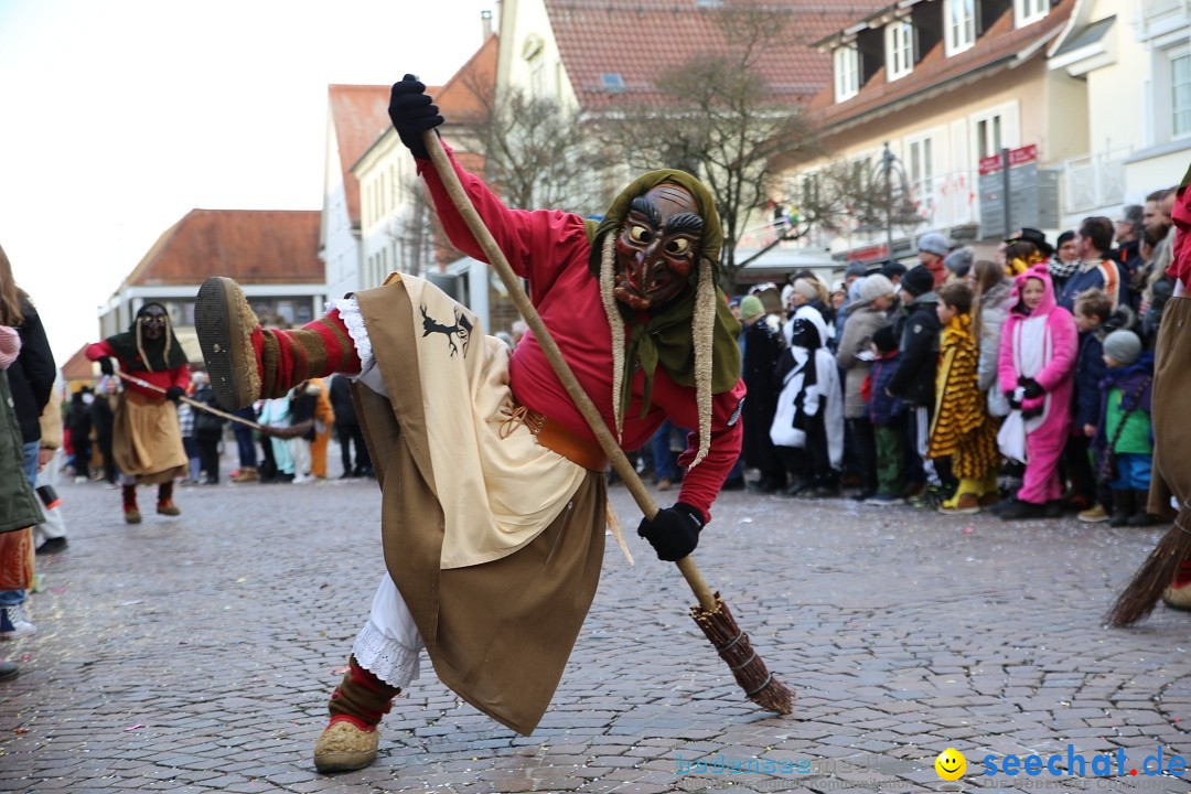 Grosser Narrensprung: Langenargen am Bodensee, 19.01.2020