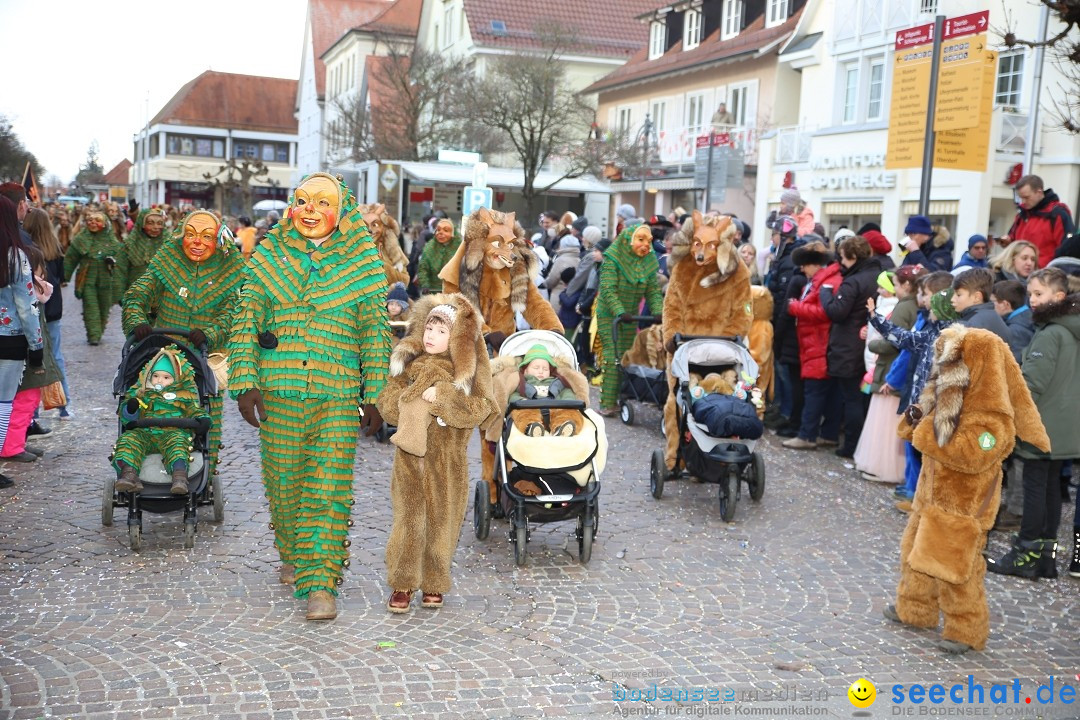 Grosser Narrensprung: Langenargen am Bodensee, 19.01.2020