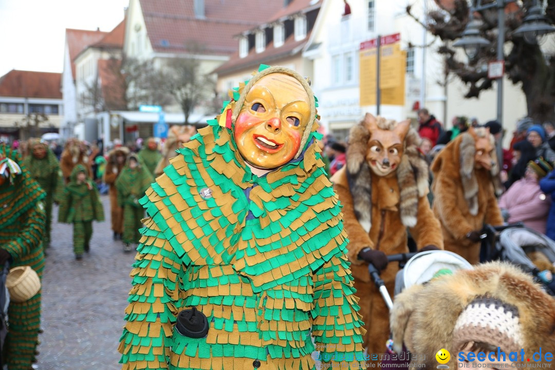 Grosser Narrensprung: Langenargen am Bodensee, 19.01.2020