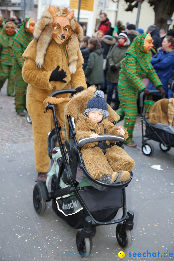 Grosser Narrensprung: Langenargen am Bodensee, 19.01.2020