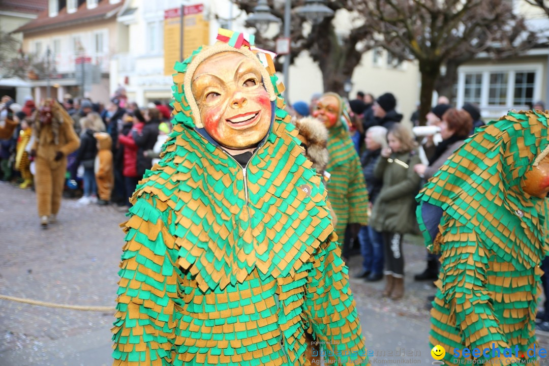 Grosser Narrensprung: Langenargen am Bodensee, 19.01.2020